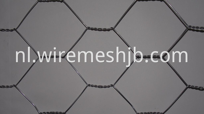 Hexagonal Mesh Fencing